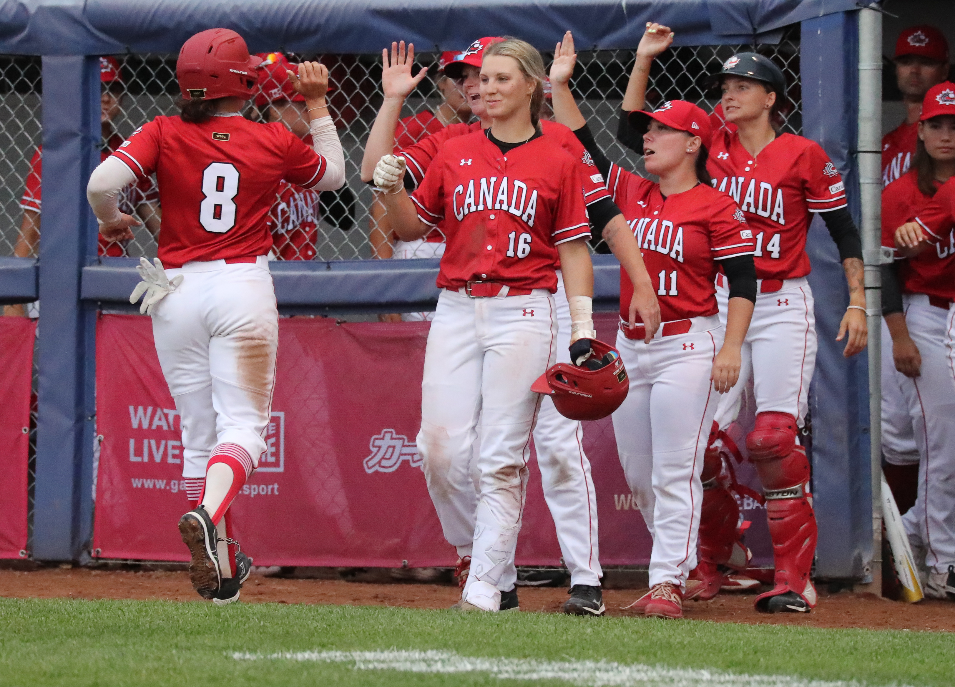 Female store baseball cup